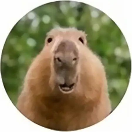 Ньургун